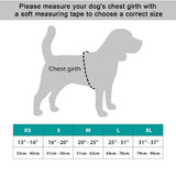 NeoAlly Upgraded Dog Surgical Recovery Vest for Dogs and Cats
