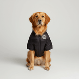 Highlander Insulated Jacket