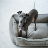 Chester & Lee | Classic Velvet Sleeper Dog Bed Gray