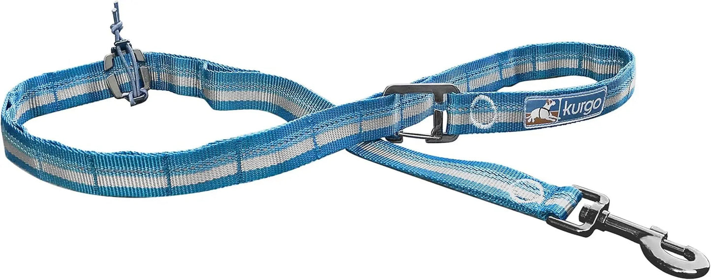 Rsg Stub Leash for Dogs | Adjustable Dog Leash | Hands Free Dog Leash for Walking, Jogging, or Running | Customizable Molle-Compatible Pet Lead | Training Handle | Web Keeper | Reflective | 48”