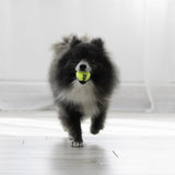 ® Squeakair® Balls Dog Toy, XS, 3-Pack
