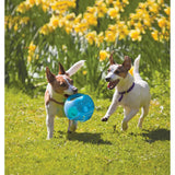 KONG 2-In-1 Jumbler Interactive Dog Toy - Blue - M/L