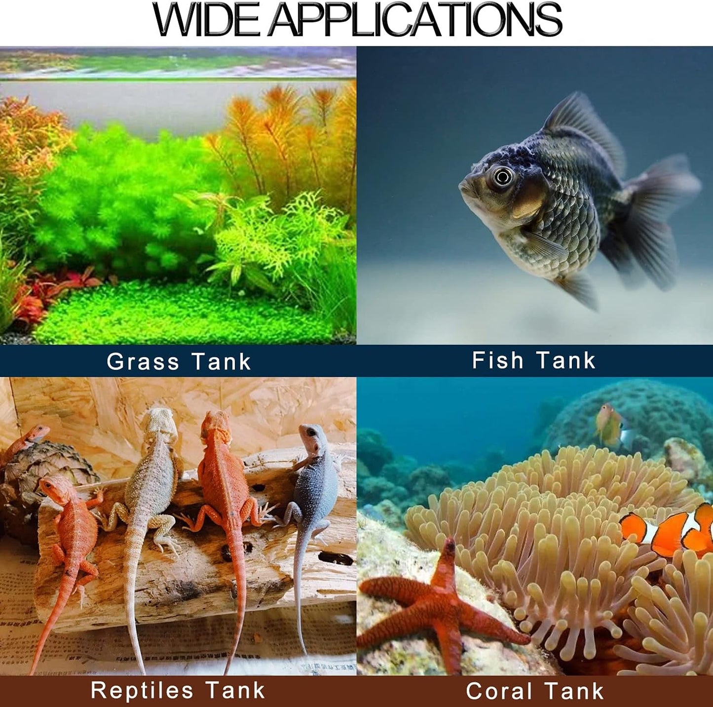 Digital Aquarium Thermometer