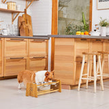 Elevated Dog Bowls for Cats and Dogs