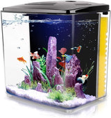 1.2 Gallon Betta Aquarium with LED Light and Filter Pump