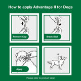 Flea Prevention for XL Dogs 55 Lbs+, 4-Monthly Treatments