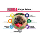 KONG Classic LARGE Durable Fetch & Chew Dog Toy Treat Stuffable 4X2.75"
