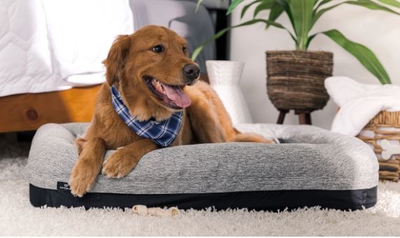 BedGear Performance Pet Bed, XL