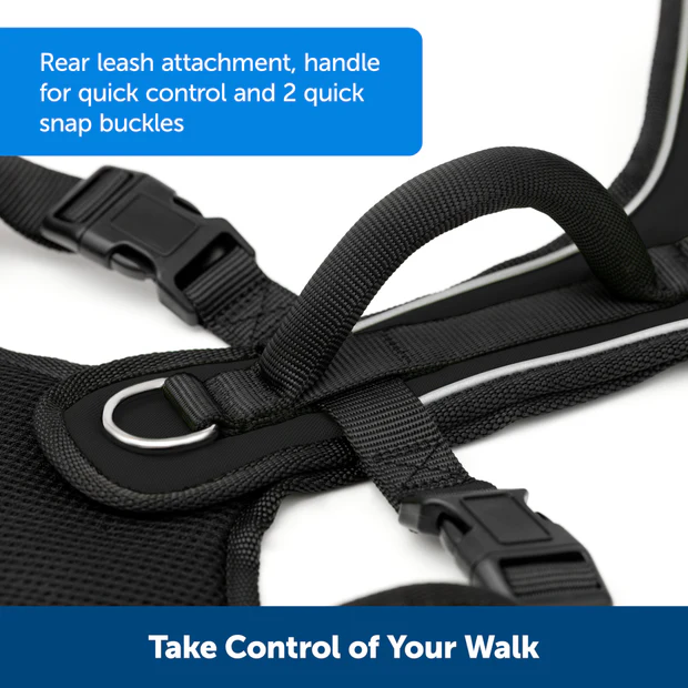 Petsafe Easysport Harness Teal Lg