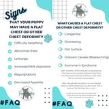 Puppy Flat Chest protector & treatment "bundle"All Sizes