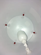 Automatic Chicken Waterer (2 Gallon)
