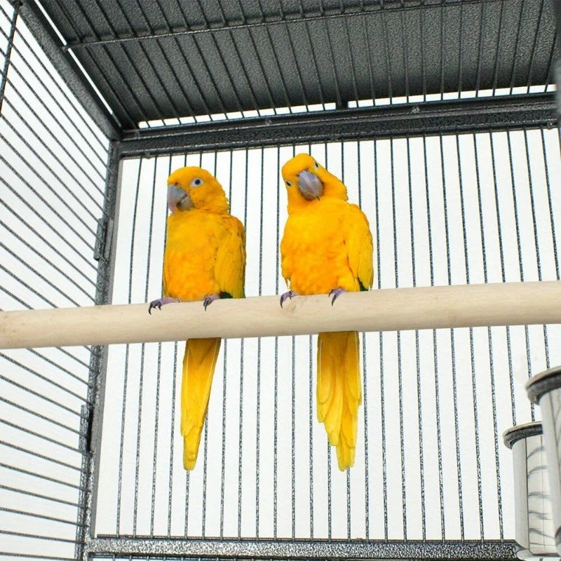 DecorBites™ Large 61" Bird Cage - Non-Toxic Steel, Easy Assembly