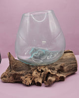 Small/Medium Teak Root Driftwood and Molten Glass Terrarium- Single Globe