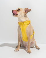 Luxe Harness