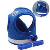 Reflective Cat Harness and Leash for Every Adventure