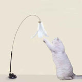 Interactive Cat Teaser Stick with Natural Feathers & Suction Cup