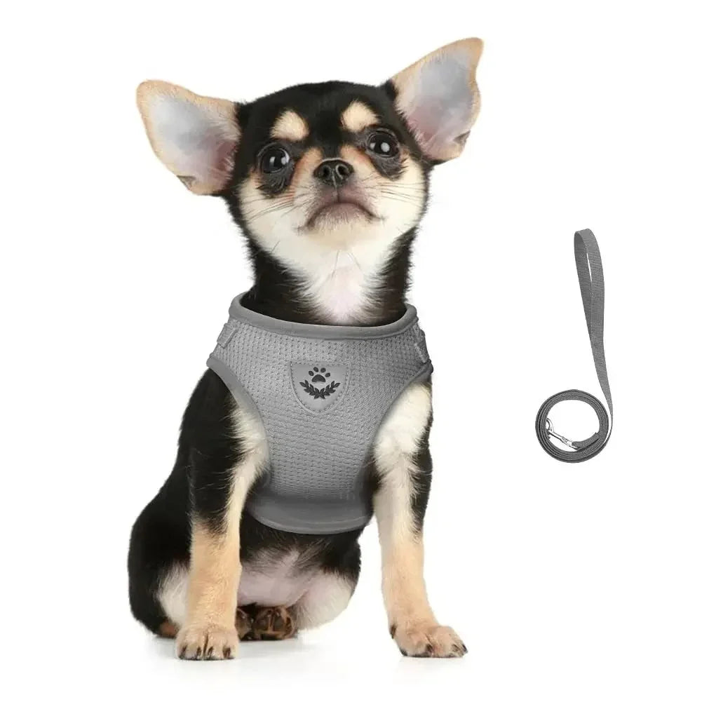 Reflective Cat Harness and Leash for Every Adventure