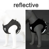Reflective Cat Harness and Leash for Every Adventure