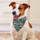 Morris Peacock and Dragon Pet Scarf
