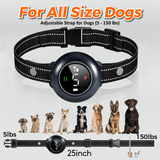 NeoAlly 2-in-1 Dog Training & Bark Control Collar | Automatic Barking Detection, Remote Shock, 5-150lbs Dogs | Rechargeable, Waterproof