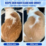 4-in-1 Cat Steam Brush Spritz Defur Comb Indoor Blue Pet Grooming Tool