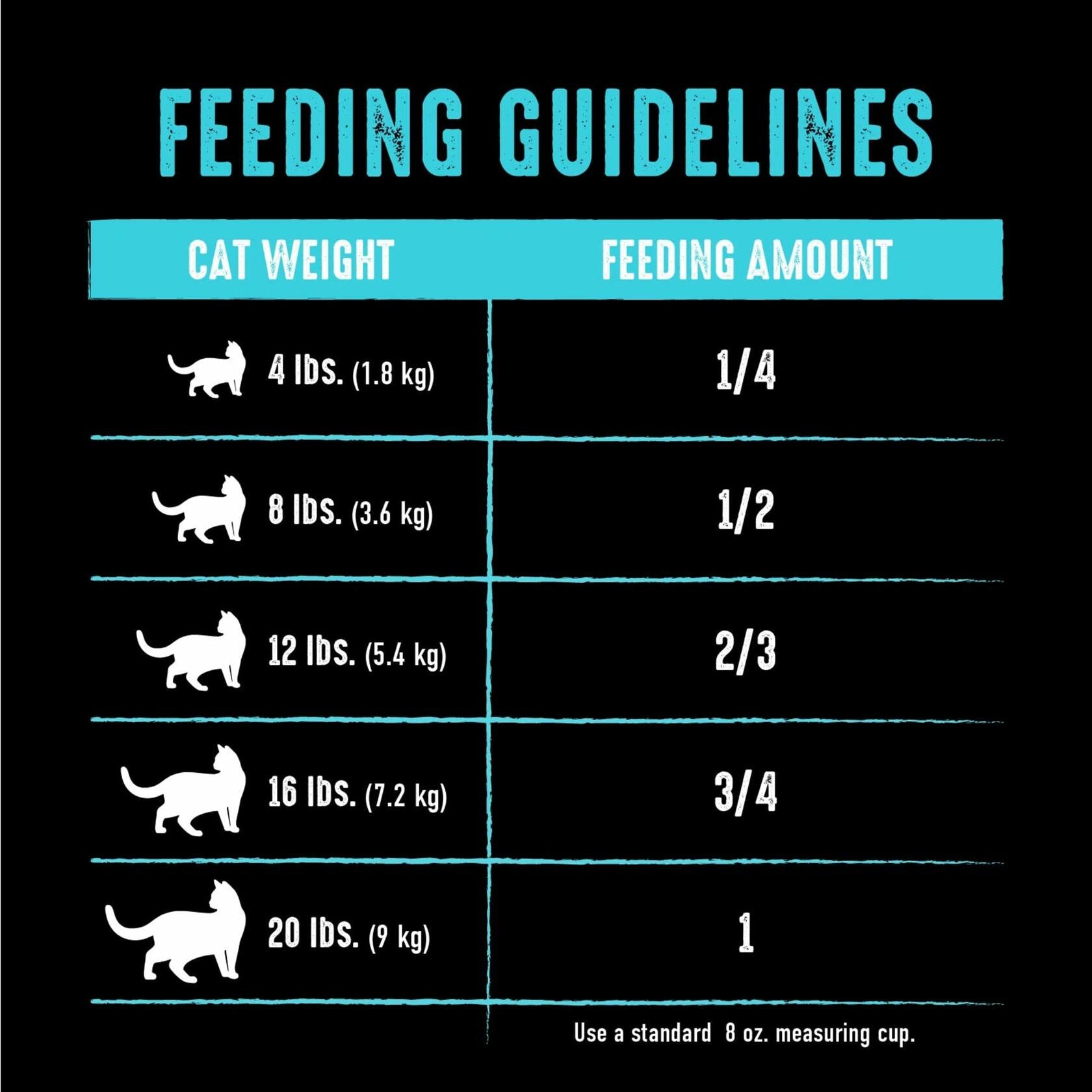Crave Grain Free Dry Cat Food Salmon Ocean Fish Protein 10 lb Bag