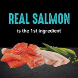 Crave Grain Free Dry Cat Food Salmon Ocean Fish Protein 10 lb Bag