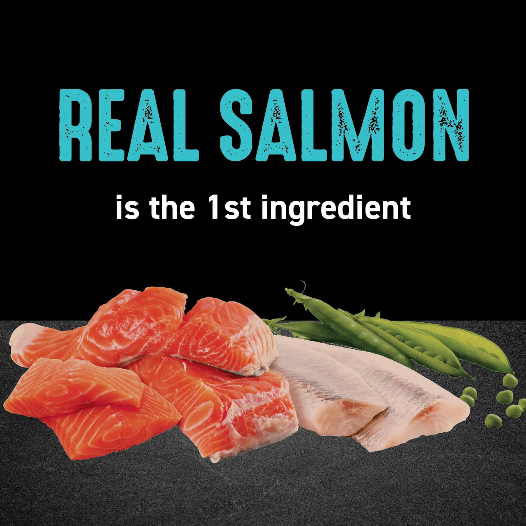 Crave Grain Free Dry Cat Food Salmon Ocean Fish Protein 10 lb Bag