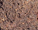 Tropical Bioactive Substrate - Frogs, Reptiles, and more!