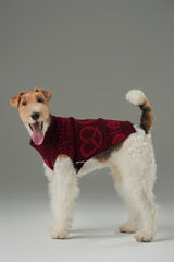 Pretzel Pet Sweater - Burgundy Red