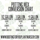 TERRARIUM Premium Potting Mix