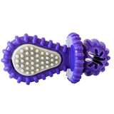 Purple Rubber Dental Pacifier Dog Toy – Ridges, Treat Hole & Durable Design
