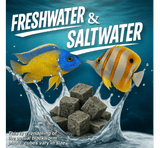 Premium Freeze Dried Blackworms - Spirulina Boost