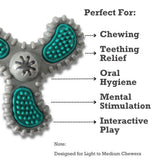 TPR Dental Spinner Dog Chew Toy – Durable Dental Care Fun for Light to Medium Chewers