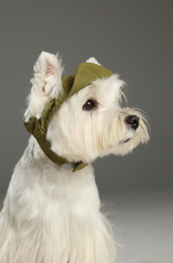 TENNIS HAT - GREEN
