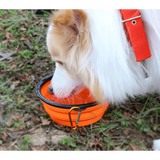 Universal Colorful Collapsible Silicone Dog Food Water Bowl Foldable Cup Dish For Pet Portable Travel Bowl For Dog