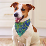 Van Gogh Irises Pet Scarf