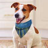 Van Gogh Starry Night Over The Rhone Pet Scarf