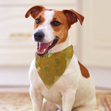 Van Gogh Sunflowers Pet Scarf