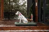 Chester & Lee | Waterproof Lounger Dog Bed Green