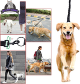 Walk Your Dogs in Style! 🐾✨ Check Out Our 360° Swivel Double Dog Leash - No Tangles, Maximum Comfort! Perfect for Two Pups Up to 200lbs! 🐶❤️