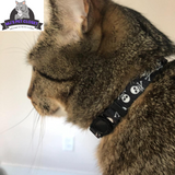 Cute & Stylish Breakaway Cat Collars! 🐾🎀 2-pack in Pink & Black Skull Design, Perfect for Your Fashionable Feline! 💖🐱