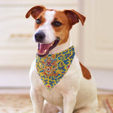 Yellow Qing Dynasty Dragon Pet Scarf