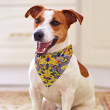 Yellow Imperial Dragon Pet Scarf